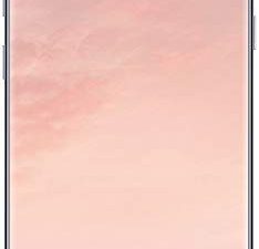 SAMSUNG Galaxy S8 G950U 64GB Unlocked GSM U.S. Version Phone - w/ 12MP Camera - Orchid Gray (Renewed)